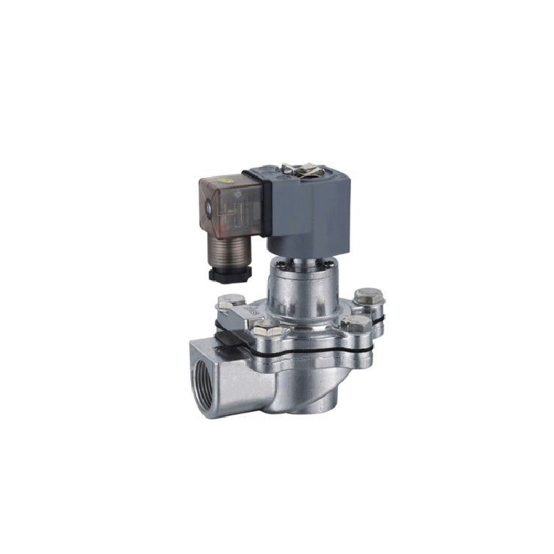 Pulsus Saccus Filter